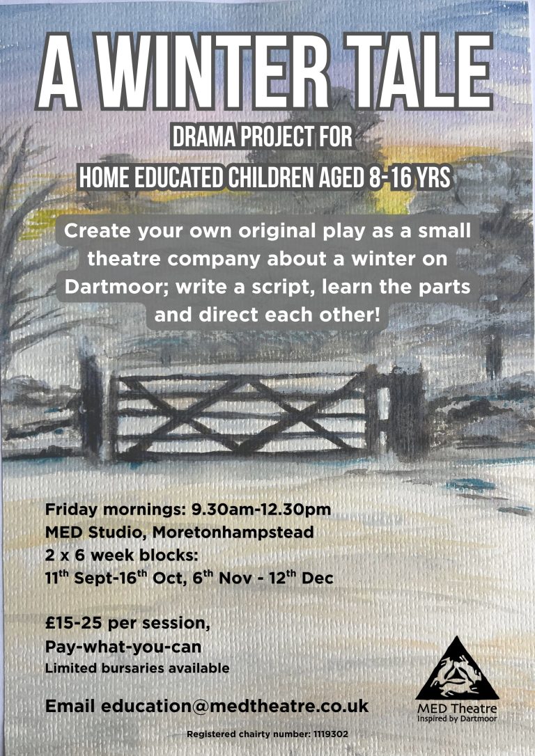 A poster explaining the project called A Winter Tale for Home Ed children